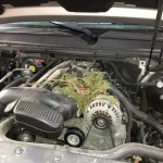 Agrimotive - Chilliwack's favourite auto repair place