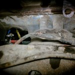 Agrimotive - Chilliwack's favourite auto repair place