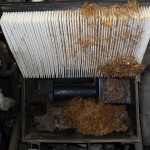 Agrimotive Auto Repair Gallery